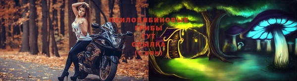 соль курить ск Алексеевка