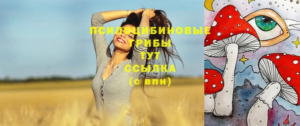 ешки Алзамай